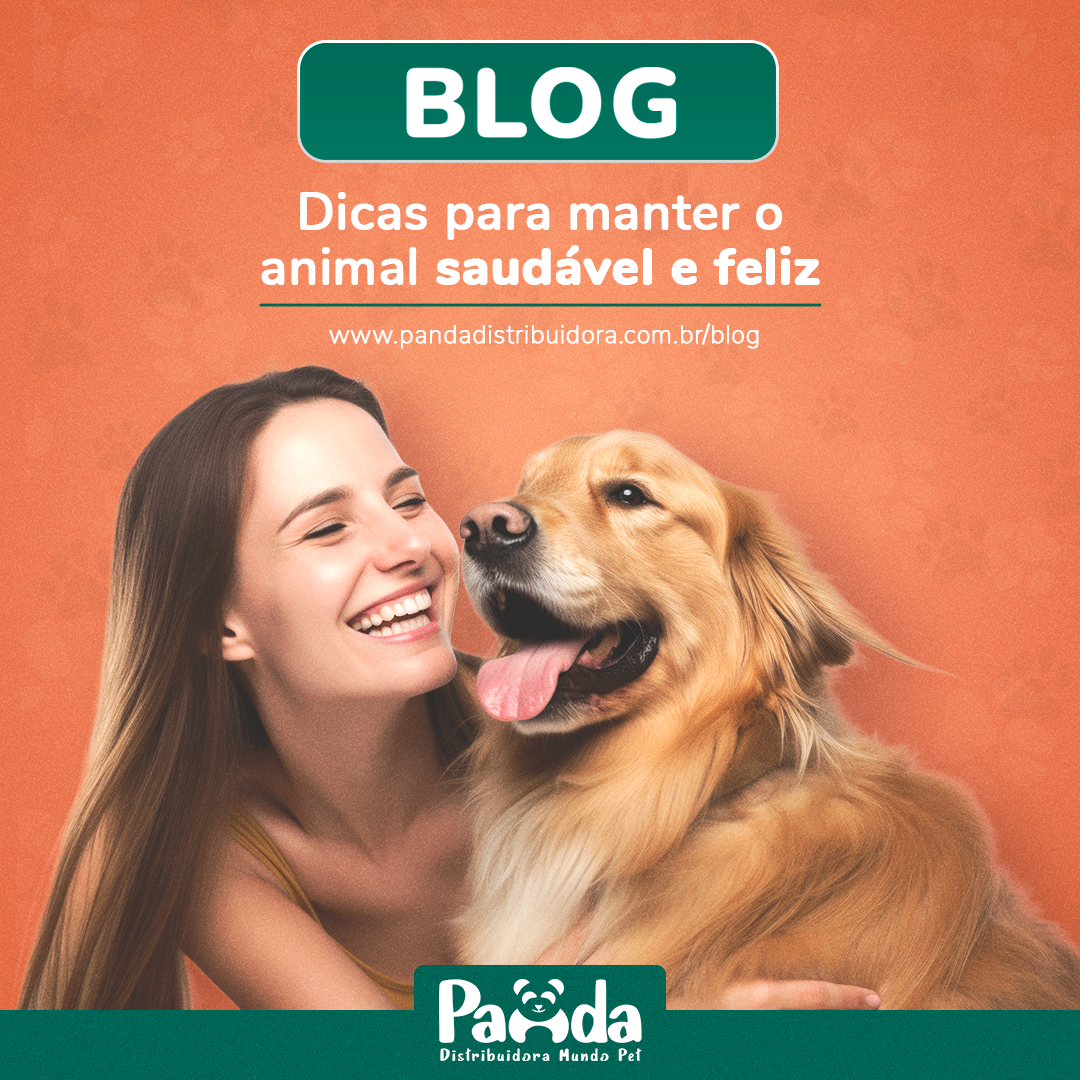 Dicas para manter o animal saudável e feliz