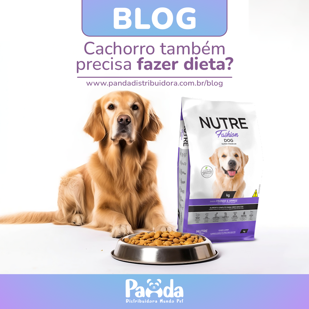 cachorro também precisa fazer dieta?