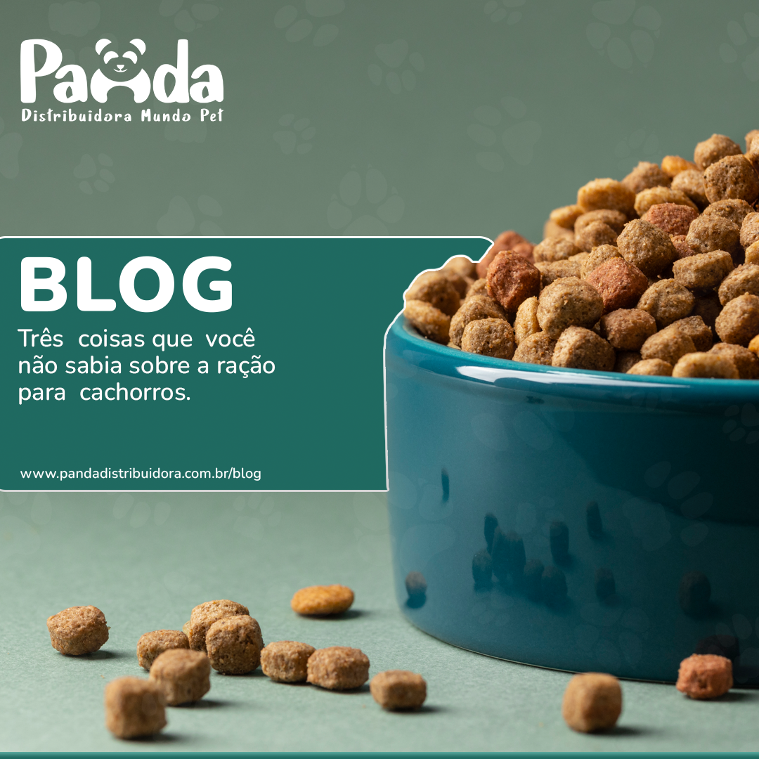 Três coisas que você não sabia sobre a ração para cachorros