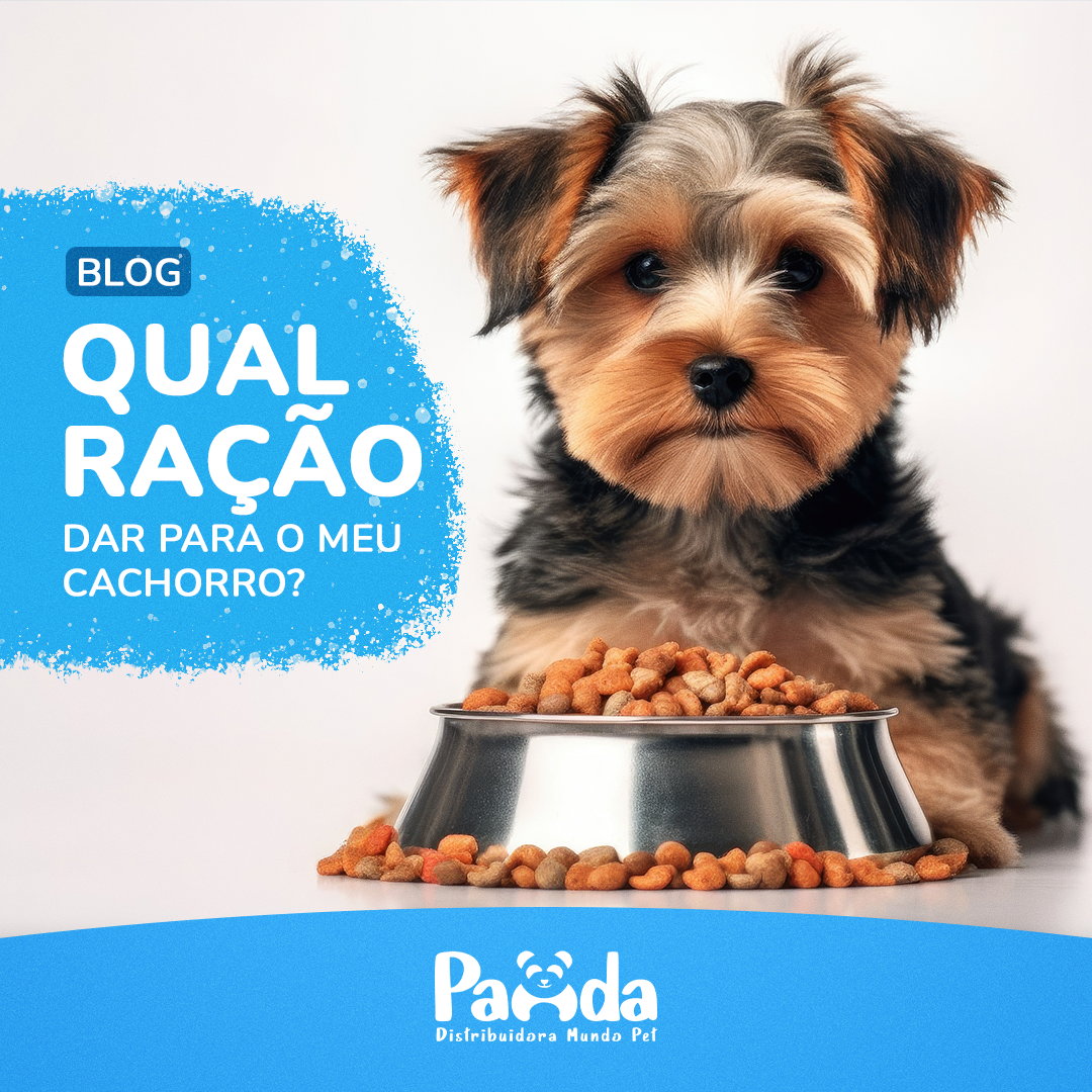 Qual ração dar para o meu cachorro?