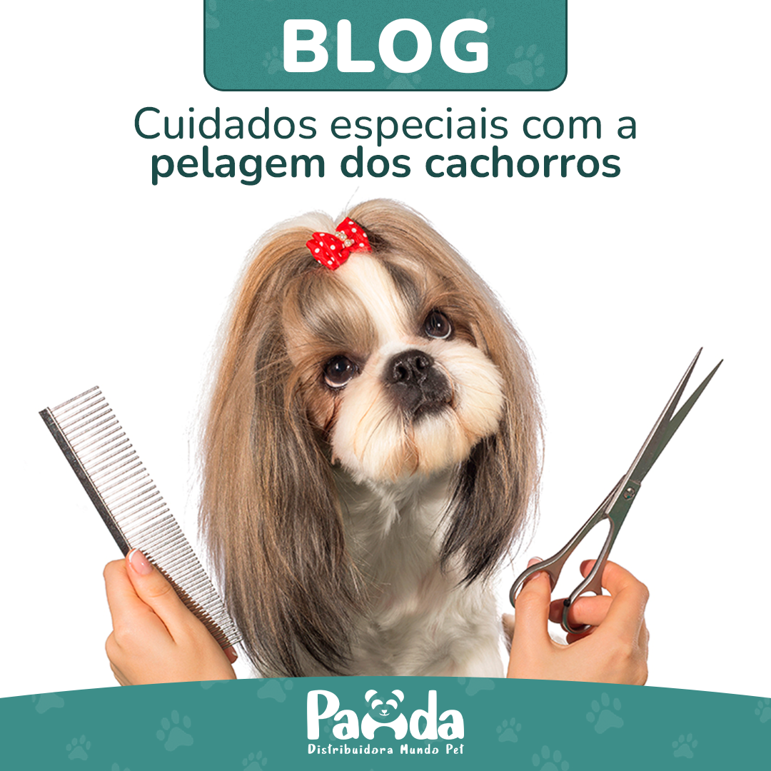 Cuidados especiais com a pelagem dos cachorros