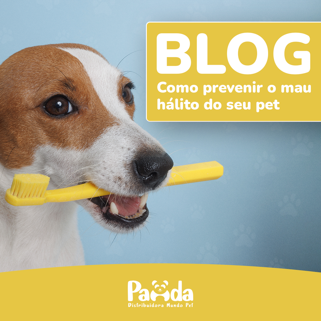 Como prevenir o mau hálito do seu pet